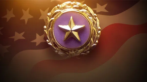 Museum of the American G.I in College Station, Texas - Image of Gold Star Lapel Button