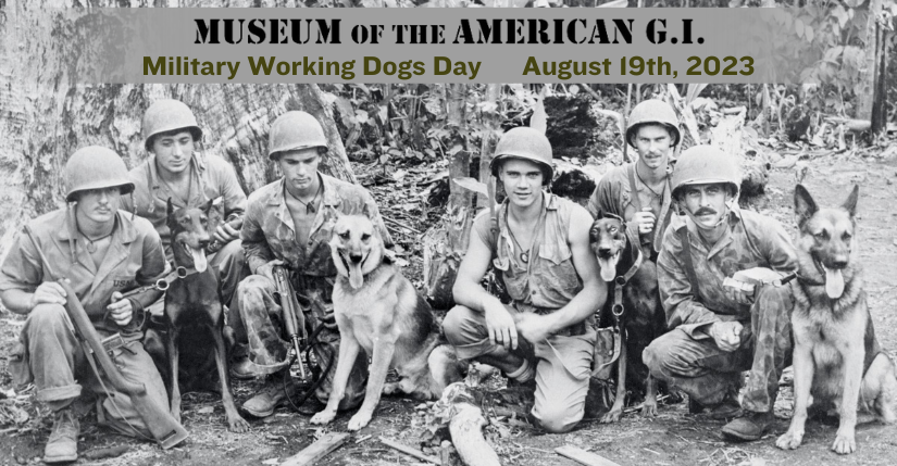 Vietnam working dogs and their handlers