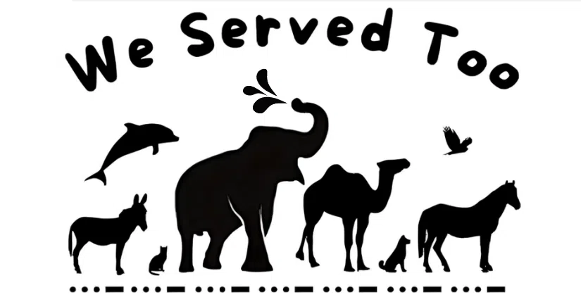 We Served too showing animals that served with the military - mules, cats, elephants, camels, dogs, birds, dolphins and horses
