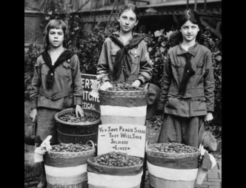 How Peach Pits Saved Lives in World War I!
